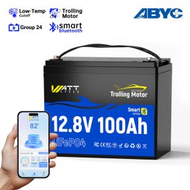 WattCycle 12Volt100Ah100AMINISMART(BT)