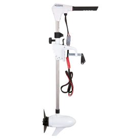 Watersnake Adwence 110/42 24V